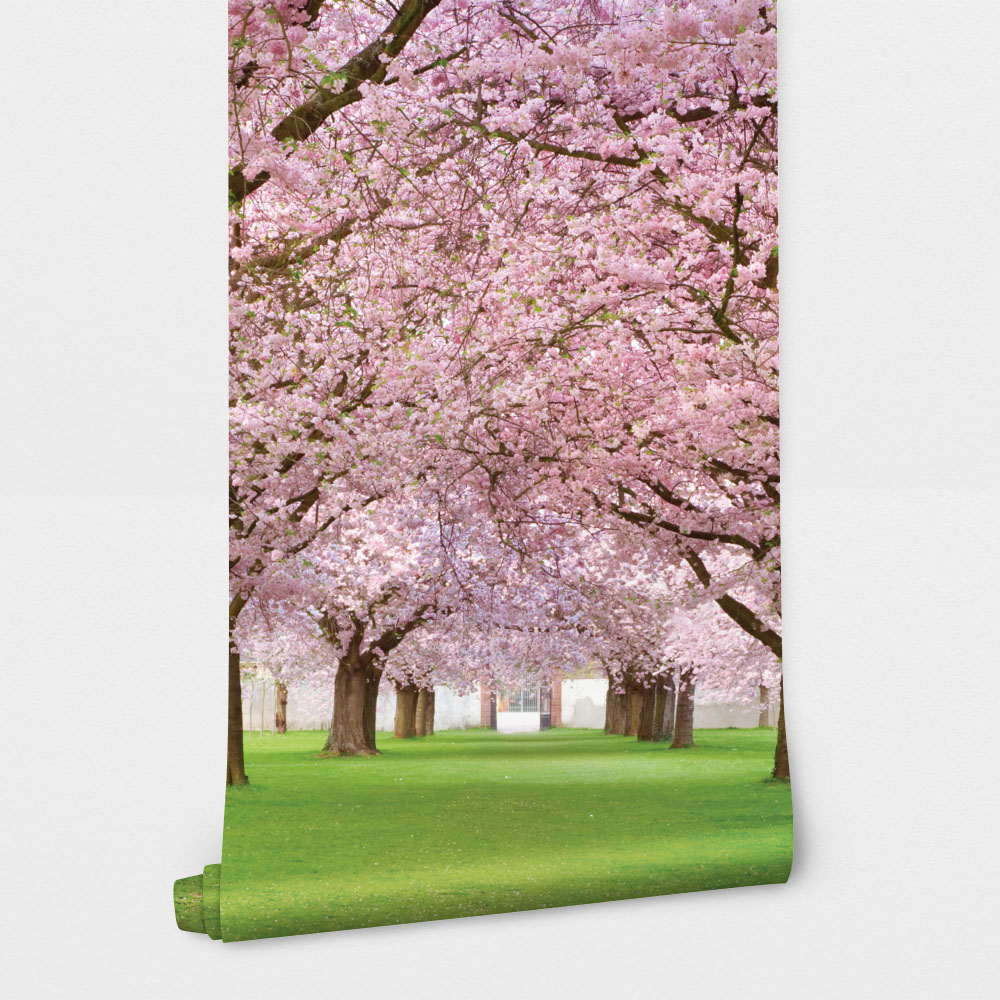 Αυτοκόλλητη Ταπετσαρία τοίχου SPRING WALK