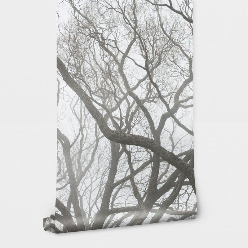 Αυτοκόλλητη Ταπετσαρία τοίχου TREES IN THE FOG