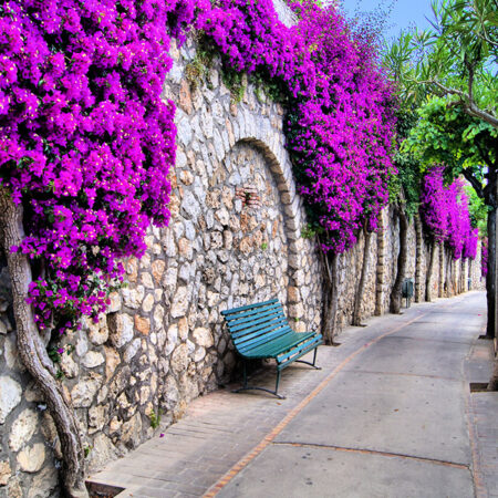Πινακας σε καμβά VIBRANT FLOWER - Floral - Λουλουδια Sticky 4