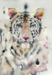 Πινακας σε καμβά WHITE TIGER WATERCOLOR
