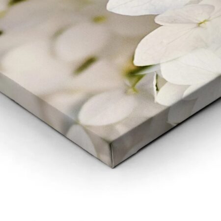 Πινακας σε καμβά WHITE HYDRANGEA FLORAL BACKGROUND - Floral - Λουλουδια Sticky 1
