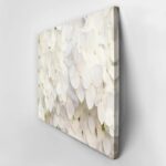 Πινακας σε καμβά WHITE HYDRANGEA FLORAL BACKGROUND