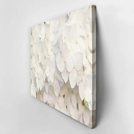 Πινακας σε καμβά WHITE HYDRANGEA FLORAL BACKGROUND - Floral - Λουλουδια Sticky 2