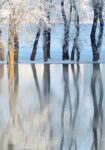 Πινακας σε καμβά WINTER LANDSCAPE