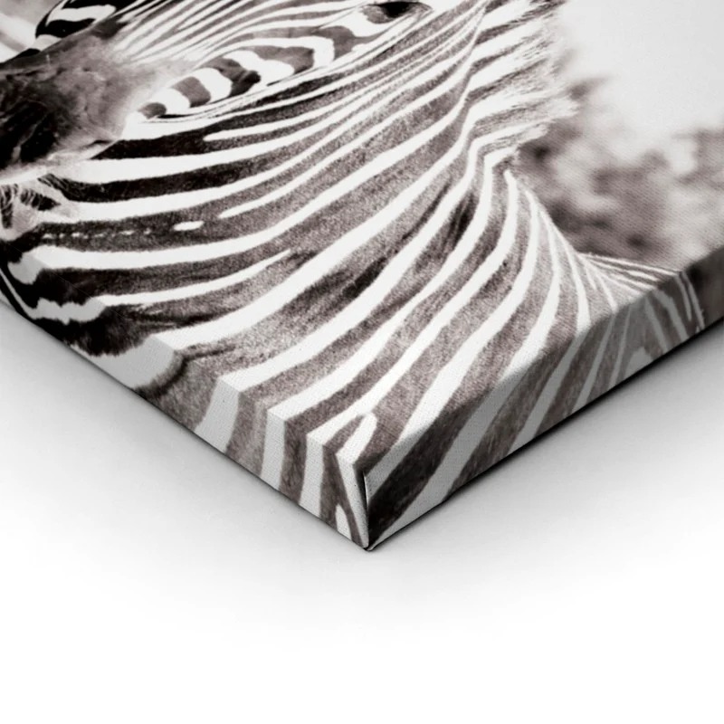 Πίνακας ZEBRA