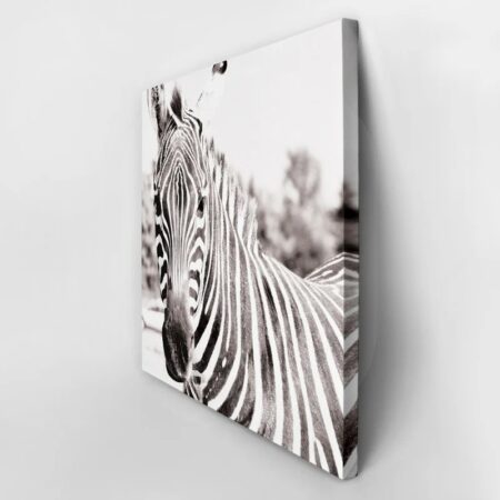 Πίνακας ZEBRA - Ζεμπρες Sticky 2