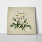 Πίνακας σε καμβά UNIQUE WATERCOLOR PEONY FLOWERS