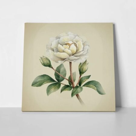 Πίνακας σε καμβά UNIQUE WATERCOLOR PEONY FLOWERS - Floral - Λουλουδια