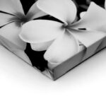 Πινακας σε καμβά BLACK AND WHITE FLOWERS