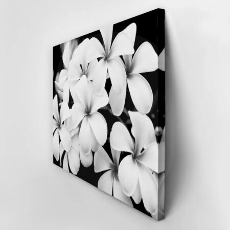 Πινακας σε καμβά BLACK AND WHITE FLOWERS - Floral - Λουλουδια Sticky 2