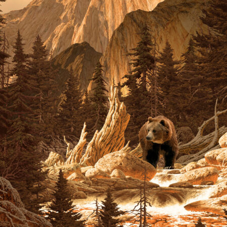 Πινακας σε καμβά BROWN BEAR ROCKY MOUNTAINS - Αρκουδες Sticky 4