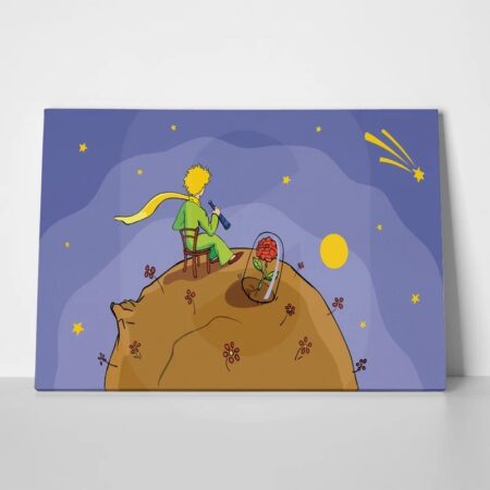 Πινακας σε καμβά LITTLE PRINCE LOOKING STARS - Παιδικοι και set