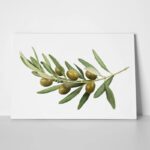 Πινακας σε καμβά OLIVE BRANCH