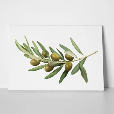 Πινακας σε καμβά OLIVE BRANCH - Botanical - Φυτα
