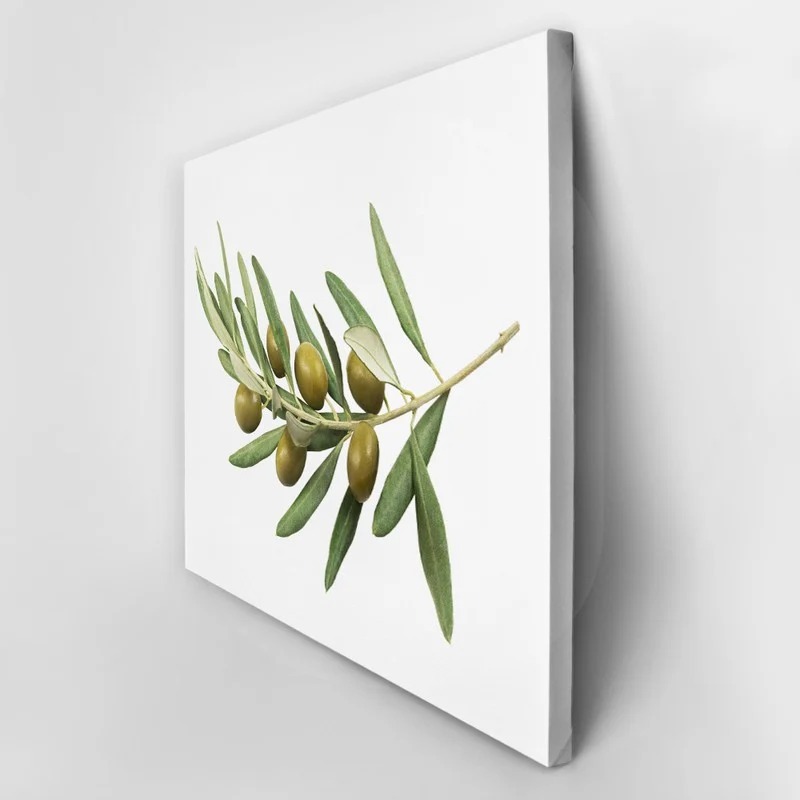 Πινακας σε καμβά OLIVE BRANCH
