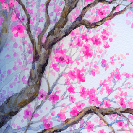 Πινακας σε καμβά PINK FLOWERY ORCHARD YARD - Ανθη Δεντρων Sticky 5