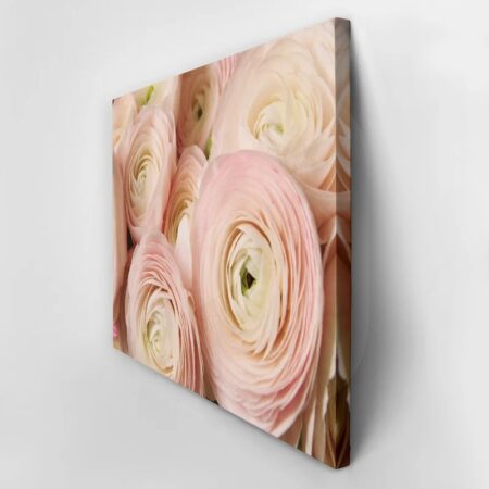 Πινακας σε καμβά RANUNCULUS PERSIAN BUTTERCUP - Floral - Λουλουδια Sticky 2