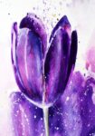 Πινακας σε καμβά TULIPS WATERCOLOR PURPLE