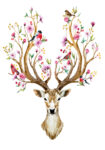 Πινακας σε καμβά WATERCOLOR ILLUSTRATION DEER FLOWERS BIRDS