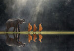 Πινακας σε καμβά BUDDHISTS AND ELEPHANT