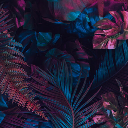 Πινακας σε καμβά FLUROSCENT PALM LEAVES - Botanical - Φυτα Sticky 5