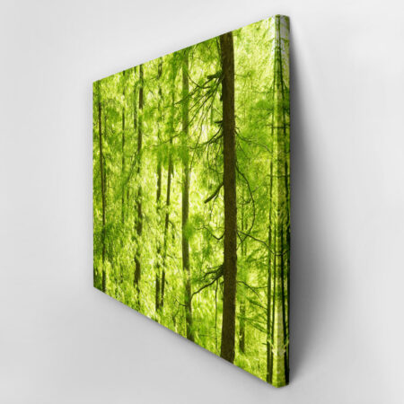 Πινακας σε καμβά GREEN FOREST - Δασος Sticky 2