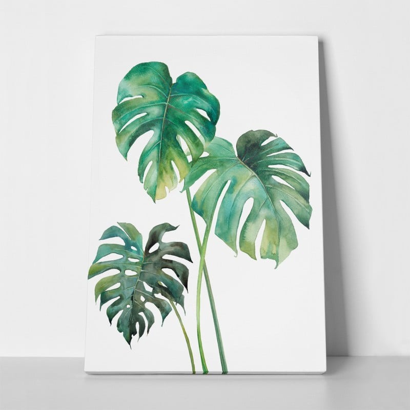 Πινακας σε καμβά MONSTERA LEAVES