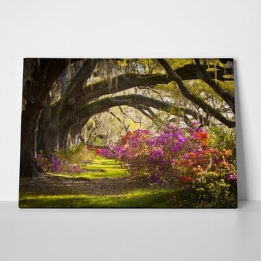 Πινακας σε καμβά MOSS AZALEA