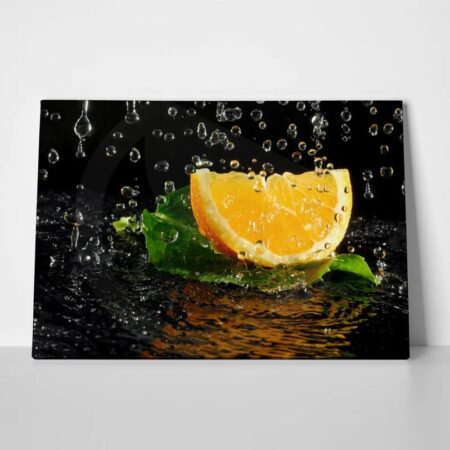 Πινακας σε καμβά ORANGE 2 - Food and Drink