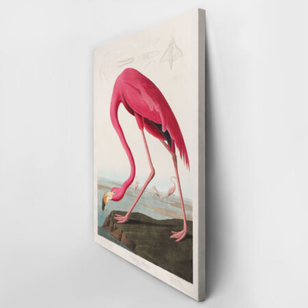 Πινακας σε καμβά PINK FLAMINGO - Αλλοι ζωγραφοι Sticky 3