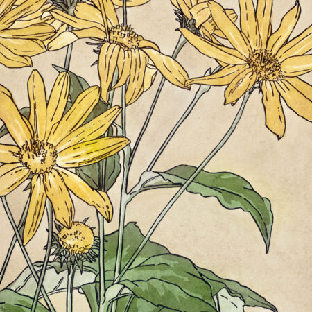 Πινακας σε καμβά WATERCOLOR SUNFLOWERS - Ηλιανθοι Sticky 5