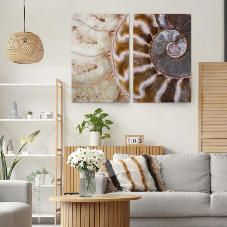 Σετ Δίπτυχος Πινακας σε καμβά AMMONITE