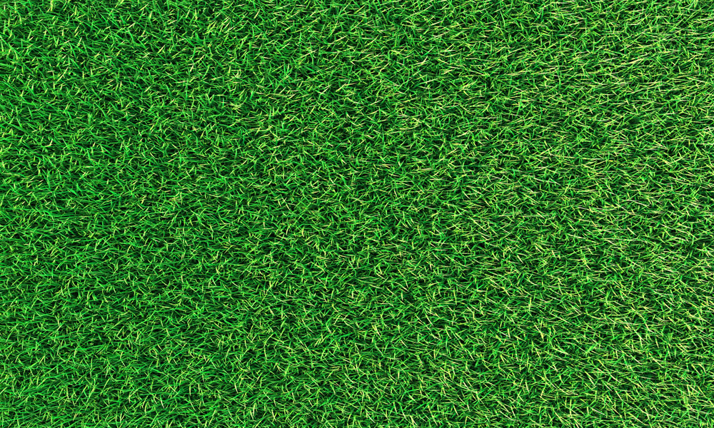 crop image