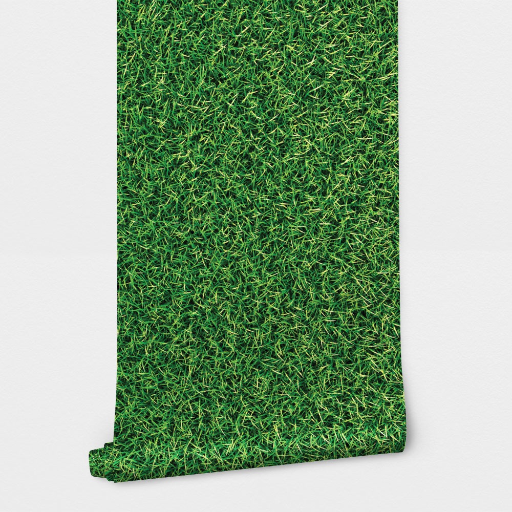 Αυτοκόλλητη Ταπετσαρία τοίχου GRASS