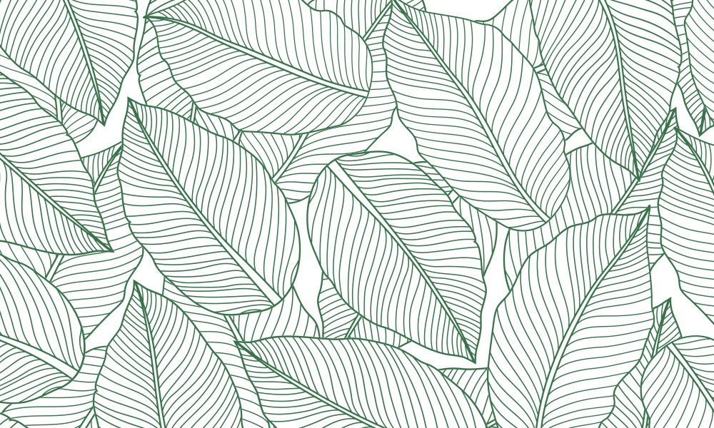 crop image