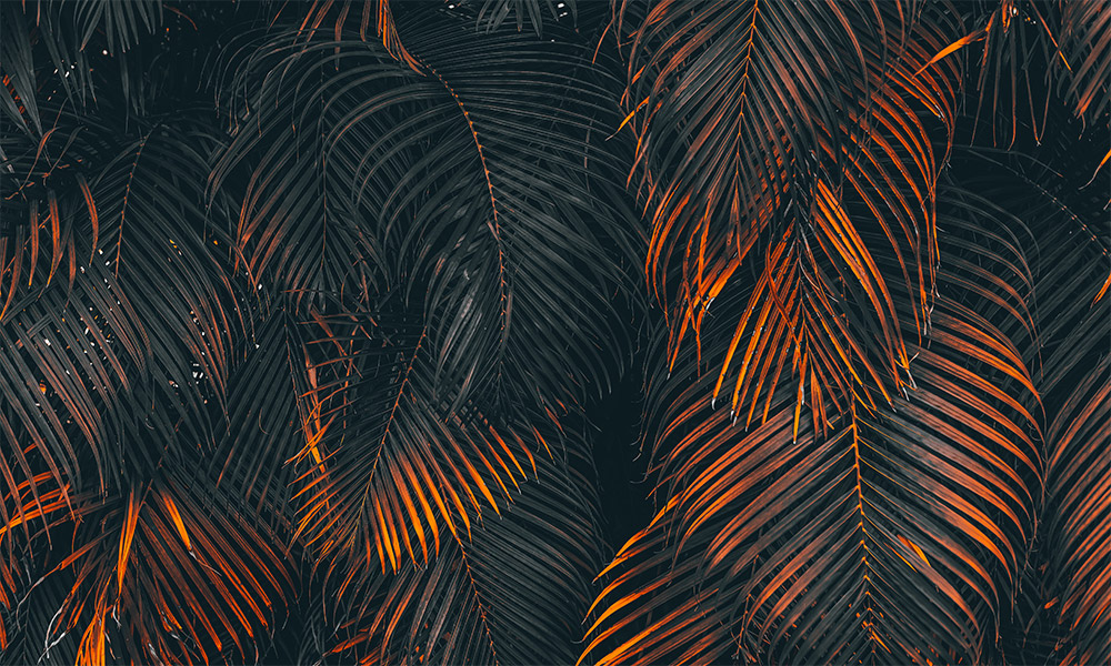 crop image