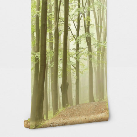 Αυτοκόλλητη Ταπετσαρία τοίχου RAINY FOREST - Τοπία Sticky 2