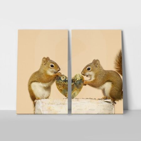 Σετ Δίπτυχος Πινακας σε καμβά SQUIRRELS - Ζωα Sticky 1