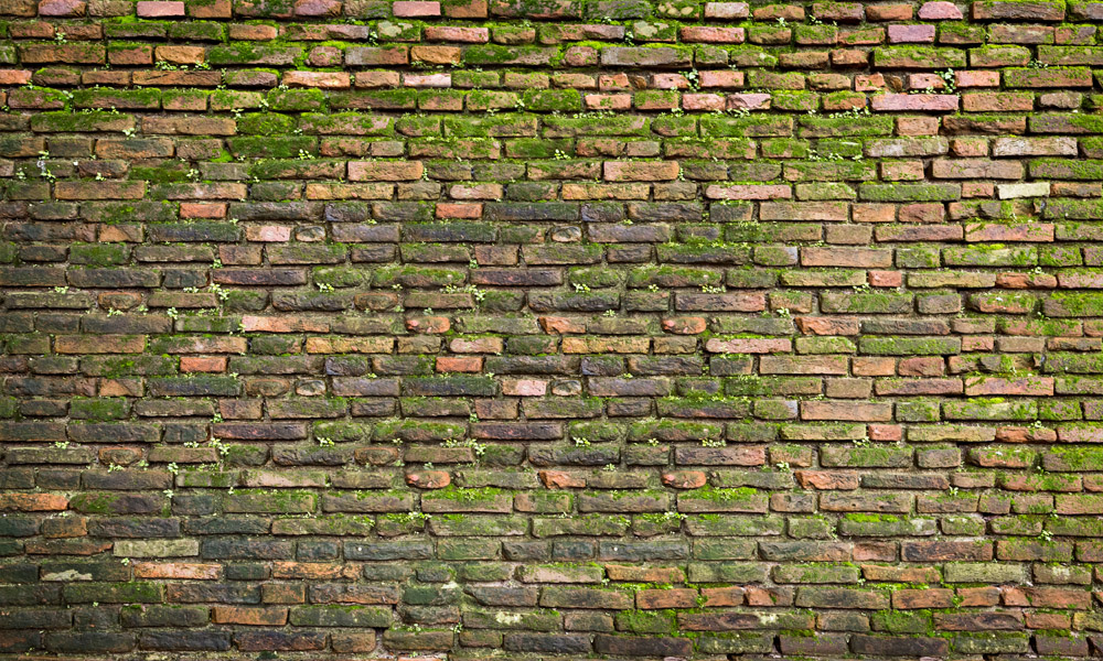 crop image