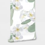 Αυτοκόλλητη Ταπετσαρία τοίχου WHITE PLUMERIA FLOWERS