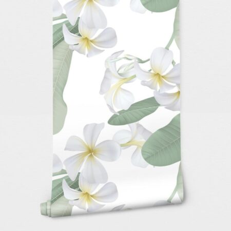Αυτοκόλλητη Ταπετσαρία τοίχου WHITE PLUMERIA FLOWERS - Floral - Λουλουδια Sticky 2