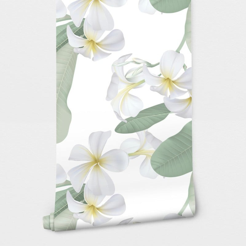 Αυτοκόλλητη Ταπετσαρία τοίχου WHITE PLUMERIA FLOWERS