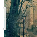 Αυτοκόλλητο ψυγείου CENTRAL PARK