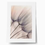 Πόστερ ABSTRACT DANDELION FLOWERS