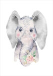 Πόστερ BABY ELEPHANT HOLDING A FLOWER