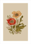 Πόστερ BAROQUE FLOWERS