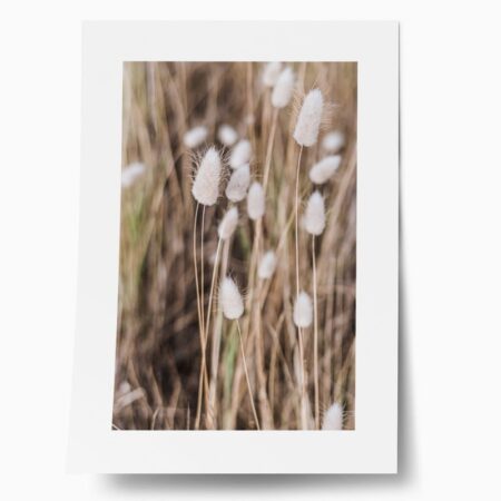 Πόστερ BEIGE FIELD - Botanical - Λουλούδια Sticky 1