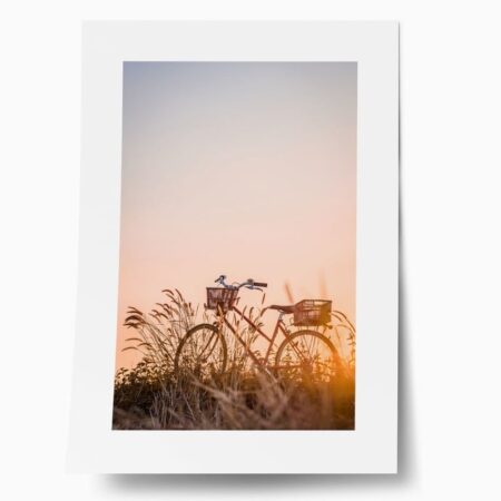 Πόστερ BIKE IN FIELD - Τοπια - Φυση Sticky 1