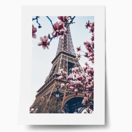 Πόστερ BLOSSOMING MAGNOLIA EIFFEL TOWER - Posters Sticky 1
