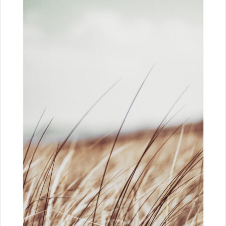Πόστερ BLUR FIELD - Τοπια - Φυση Sticky 3